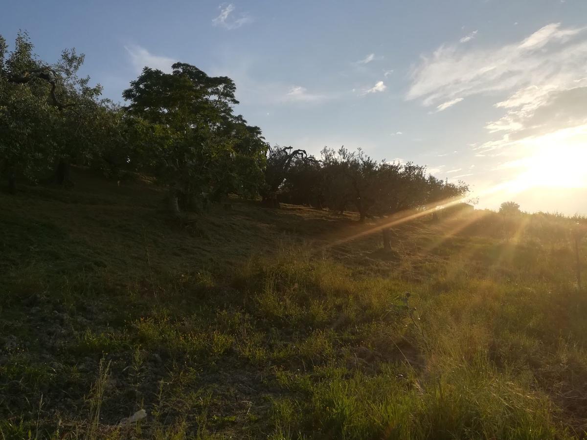 Agriturismo La Ruelle Villa Atessa ภายนอก รูปภาพ