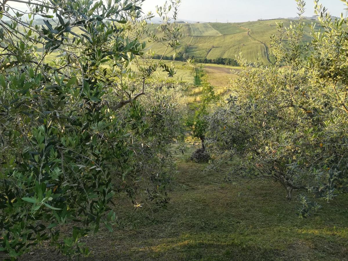 Agriturismo La Ruelle Villa Atessa ภายนอก รูปภาพ